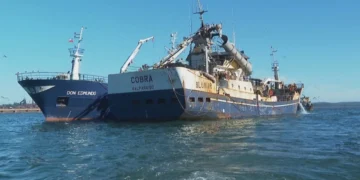 El buque Cobra de pesquera Blumar.