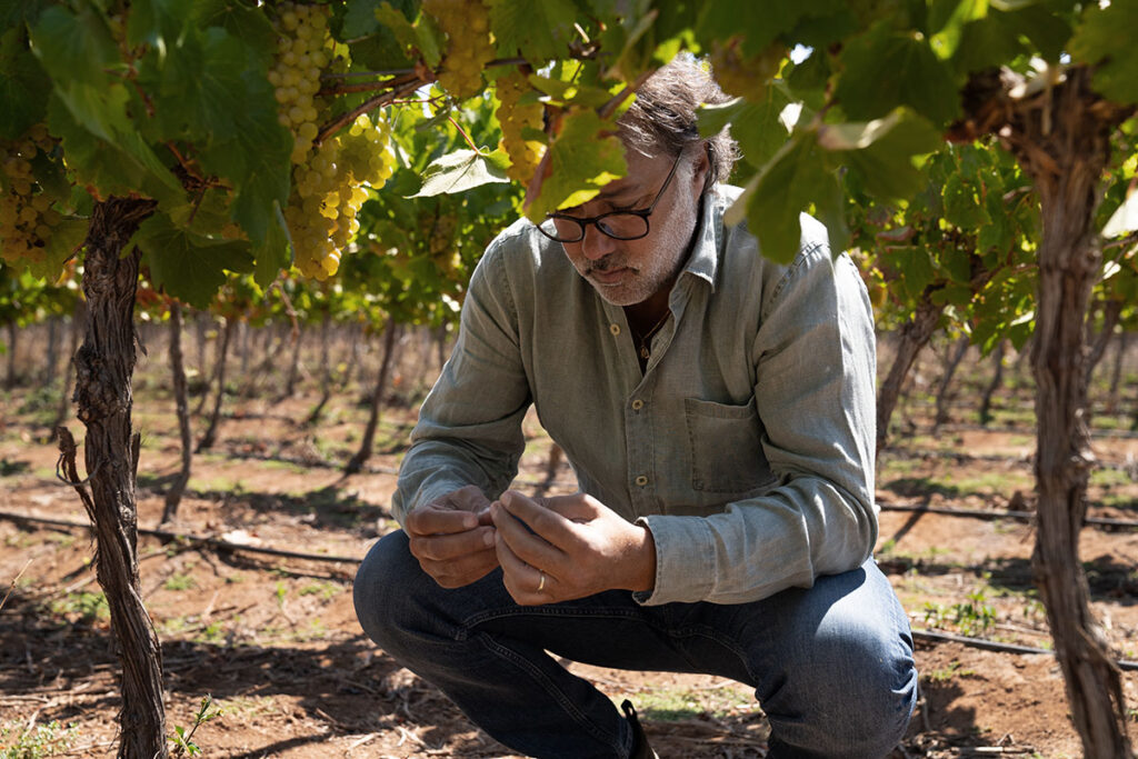 Marcelo Papa, enólogo y Director Técnico de Concha y Toro.