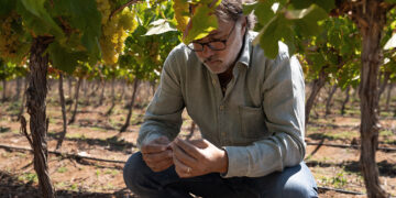 Marcelo Papa, enólogo y Director Técnico de Concha y Toro.