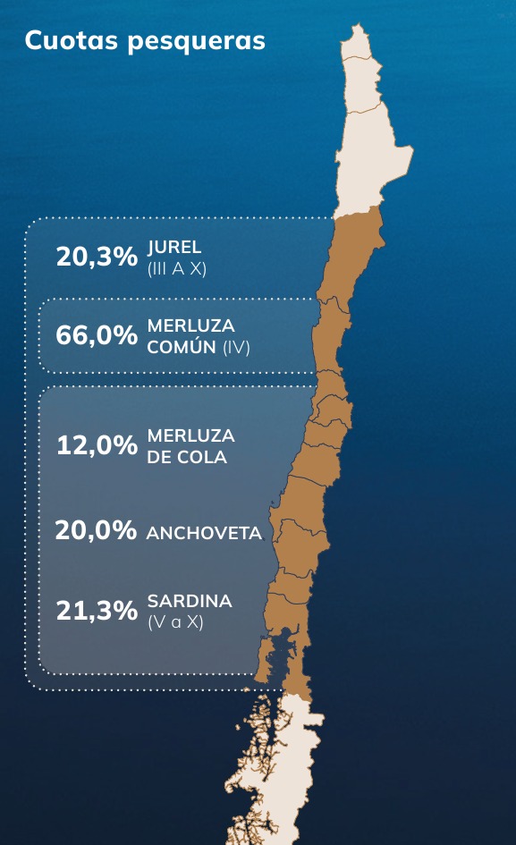 Las cuotas de captura de Blumar en la zona centro-sur del país Las sociedades que controlan la propiedad de Blumar (fuente: Blumar).: