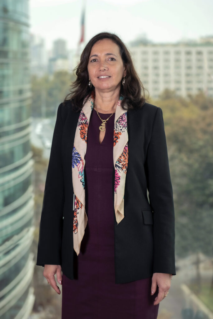 Solange Berstein, presidenta de la CMF.