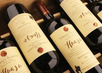 Caída del consumo global empuja ajustes y venta de activos en el vino chileno