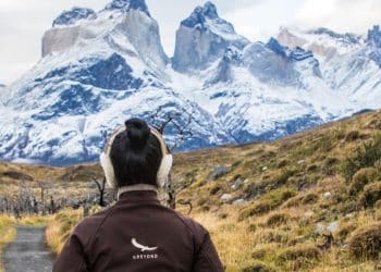 Torres del Paine: grupo sudafricano retoma plan para levantar un lodge de súper lujo