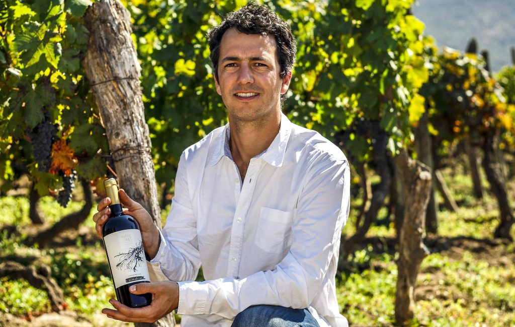 Gabriel Edwards, director de Viña Clos de Luz.