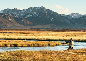 Pescar en Tierra del Fuego: una aventura de casi US$7.000 que Chile busca potenciar con ciencia