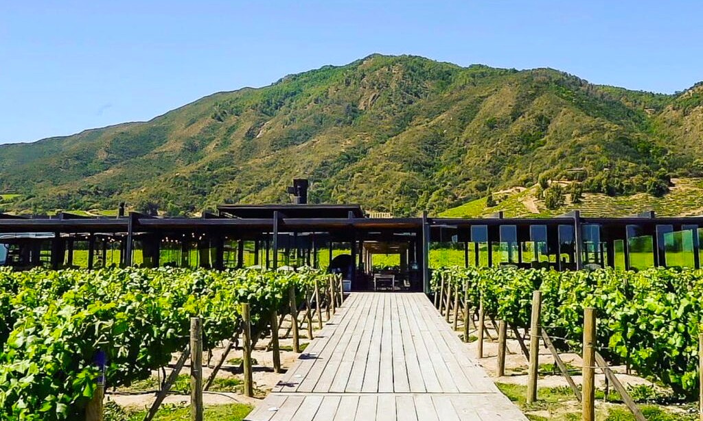Viña Montes.